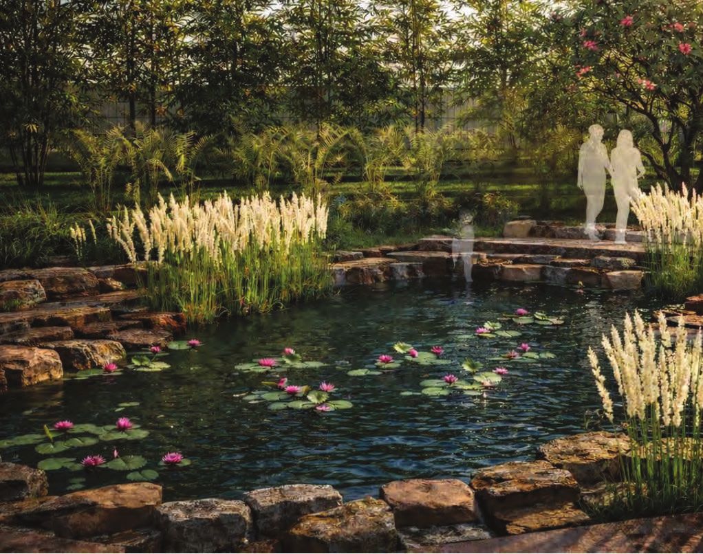 Riparian edge pond with lilies and reed grasses